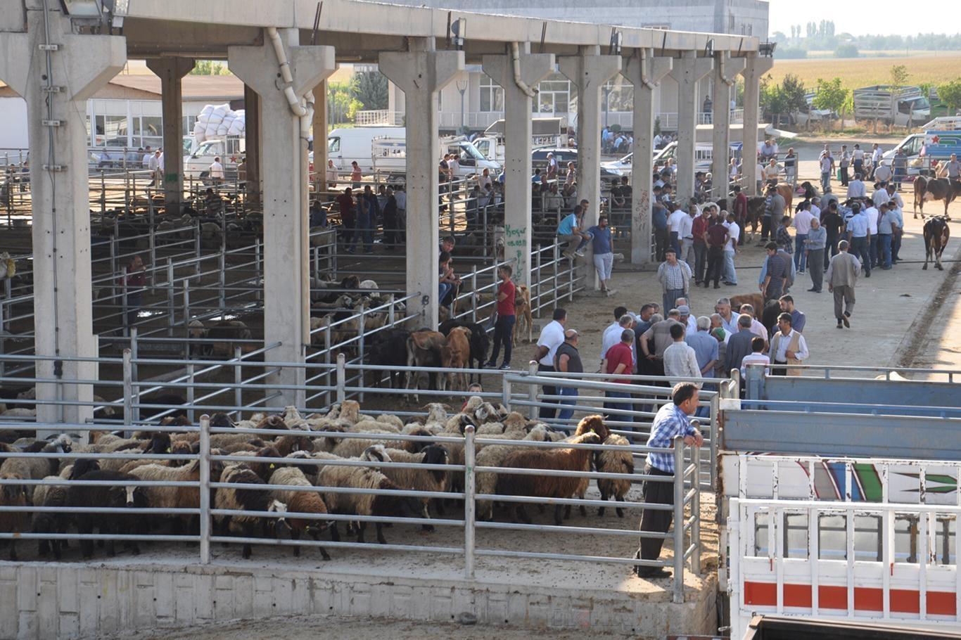 Hayvan pazarı kapatıldı