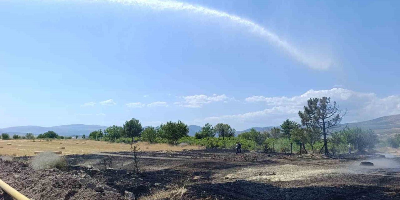 Ankara’da 40 dönüm ekili arazi yandı