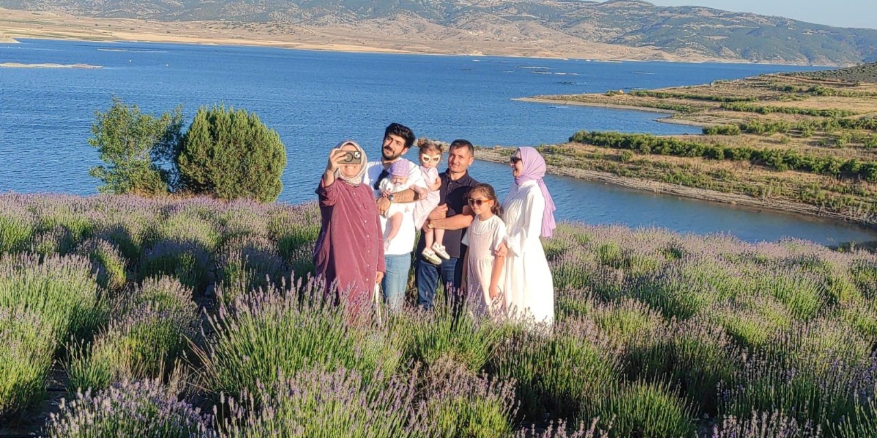 Lavanta bahçeleri fotoğraf platolarına dönüştü