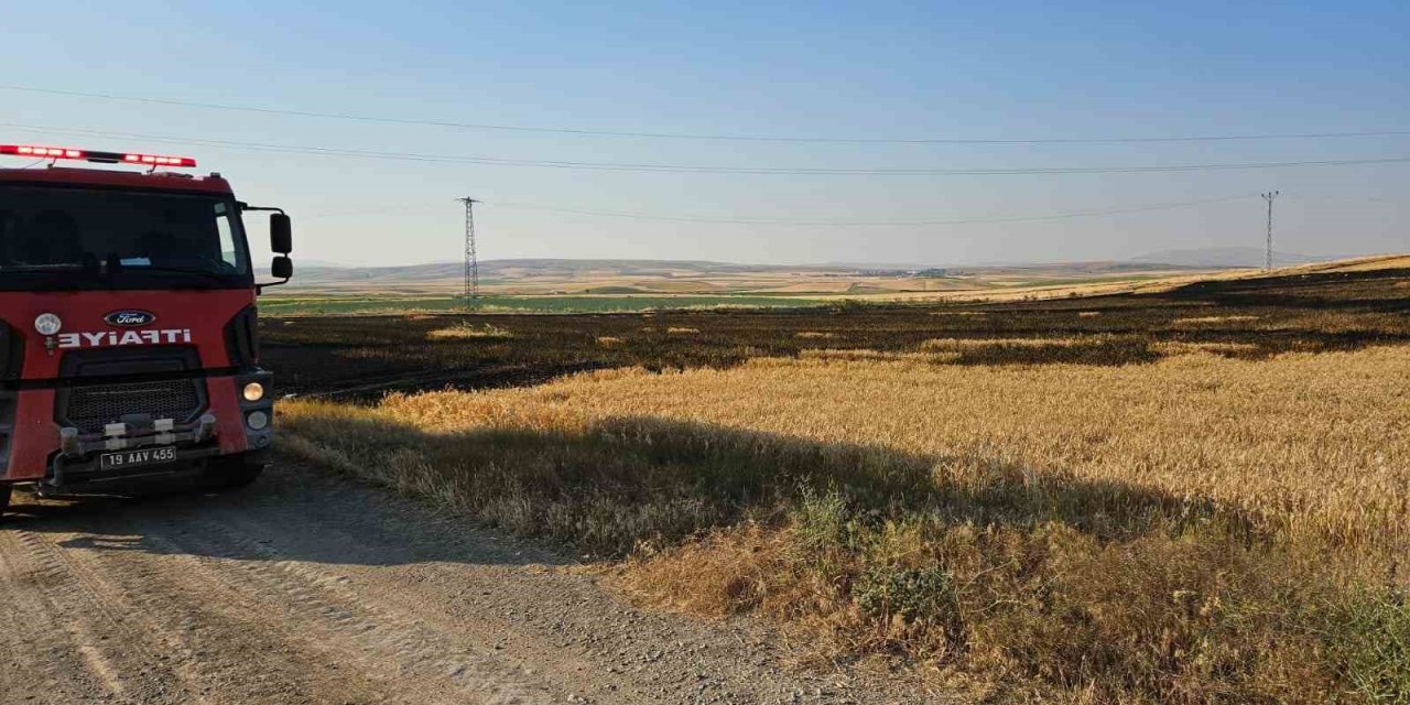 Çorum’da 15 dönüm buğday ekili tarla alevlere teslim oldu