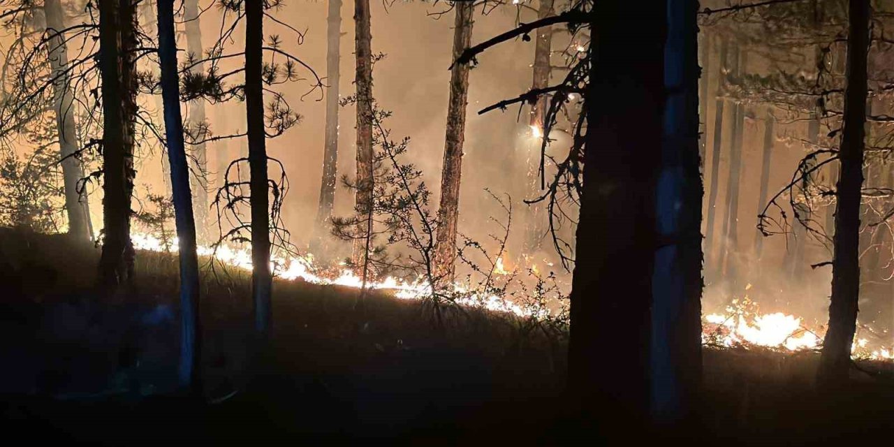 Çankırı’daki orman yangınına müdahale 4 saattir sürüyor