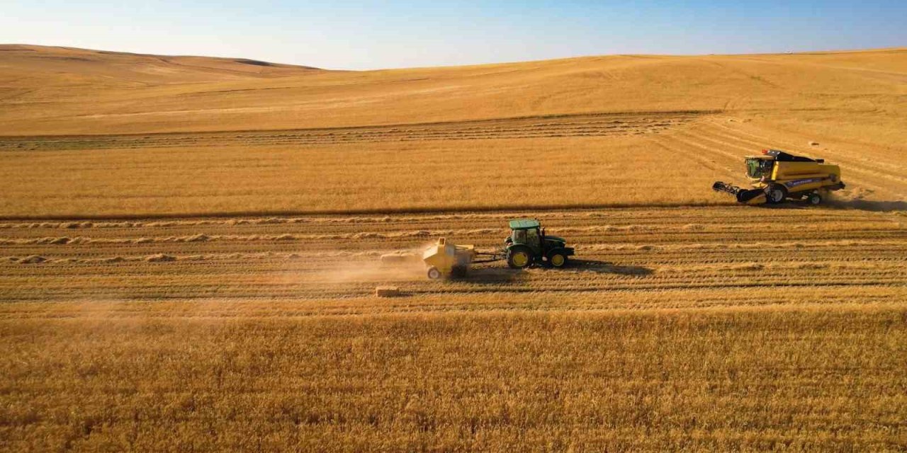 Hasatta hem kuraklık hem yangın riski: Çiftçiye çifte uyarı
