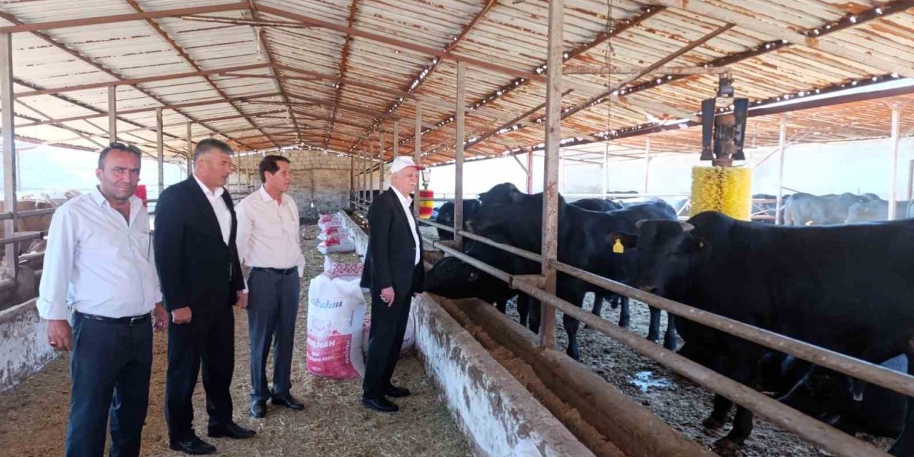 TZOB Başkanı Bayraktar: "Bu yıl görülen şap virüsü daha ölümcül ve tehlikeli boyutta seyrediyor"