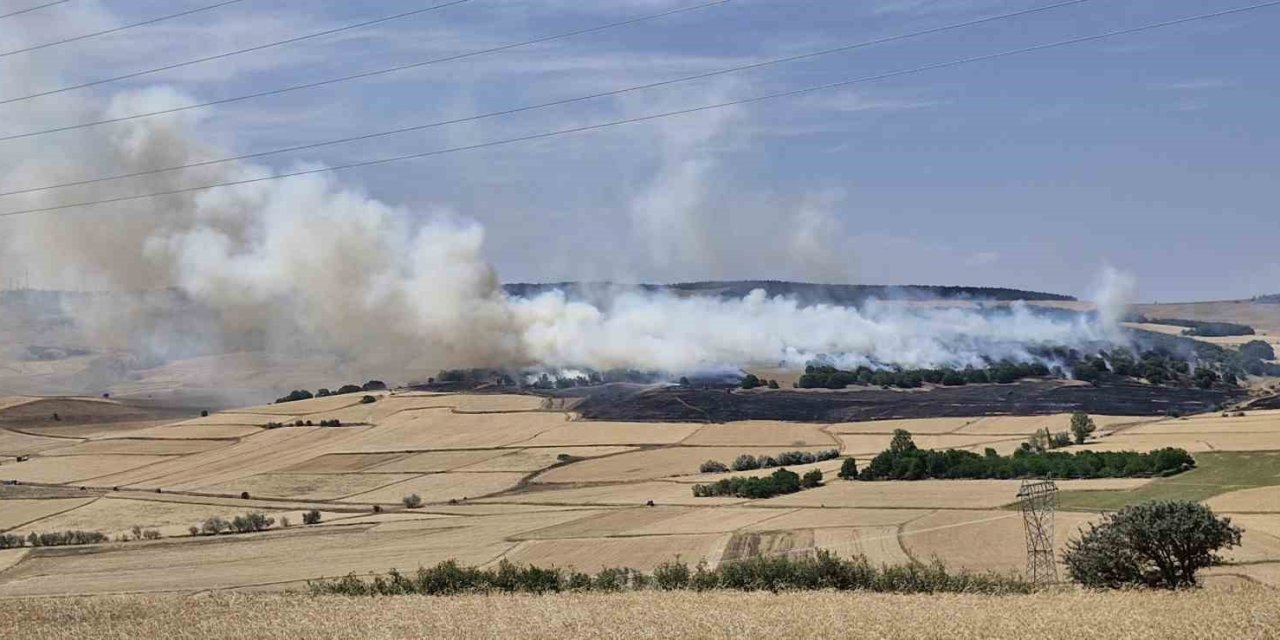 Çorum’da tarlada çıkan yangında 200 dönüm ekili arazi kül oldu