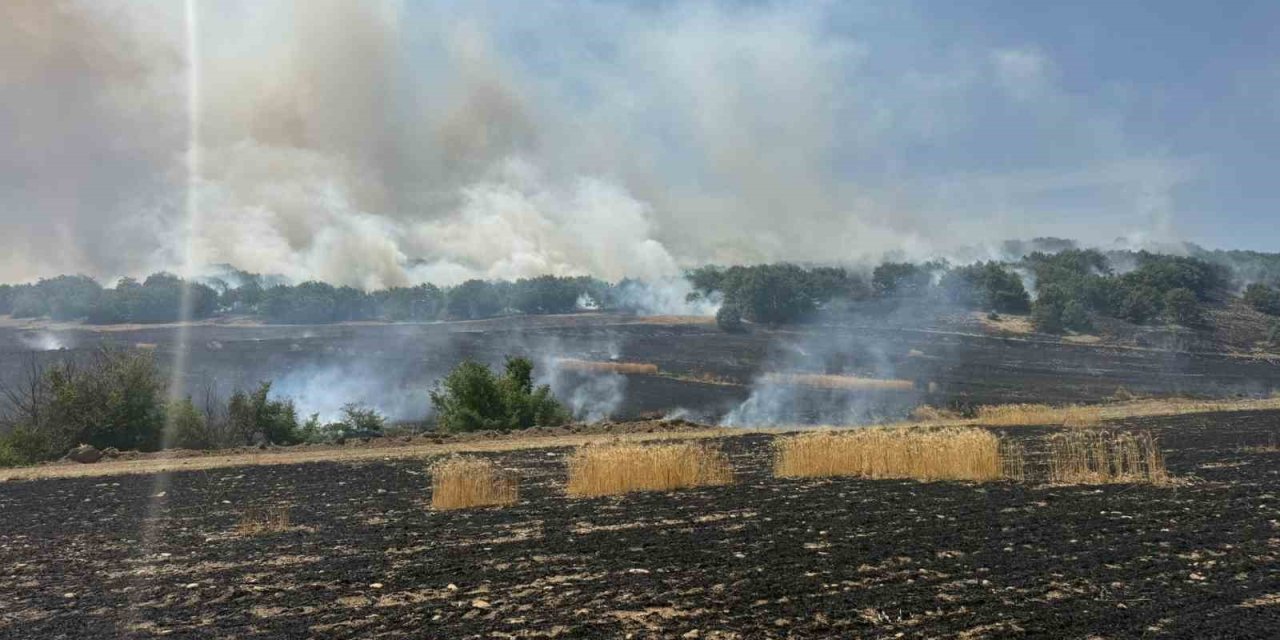 Çorum’da tarlada çıkan yangın ormanlık alana ulaşmadan kontrol altına alındı