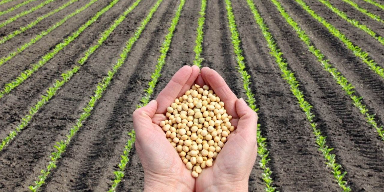 Kırıkkaleli çiftçilere dev destek yolda!