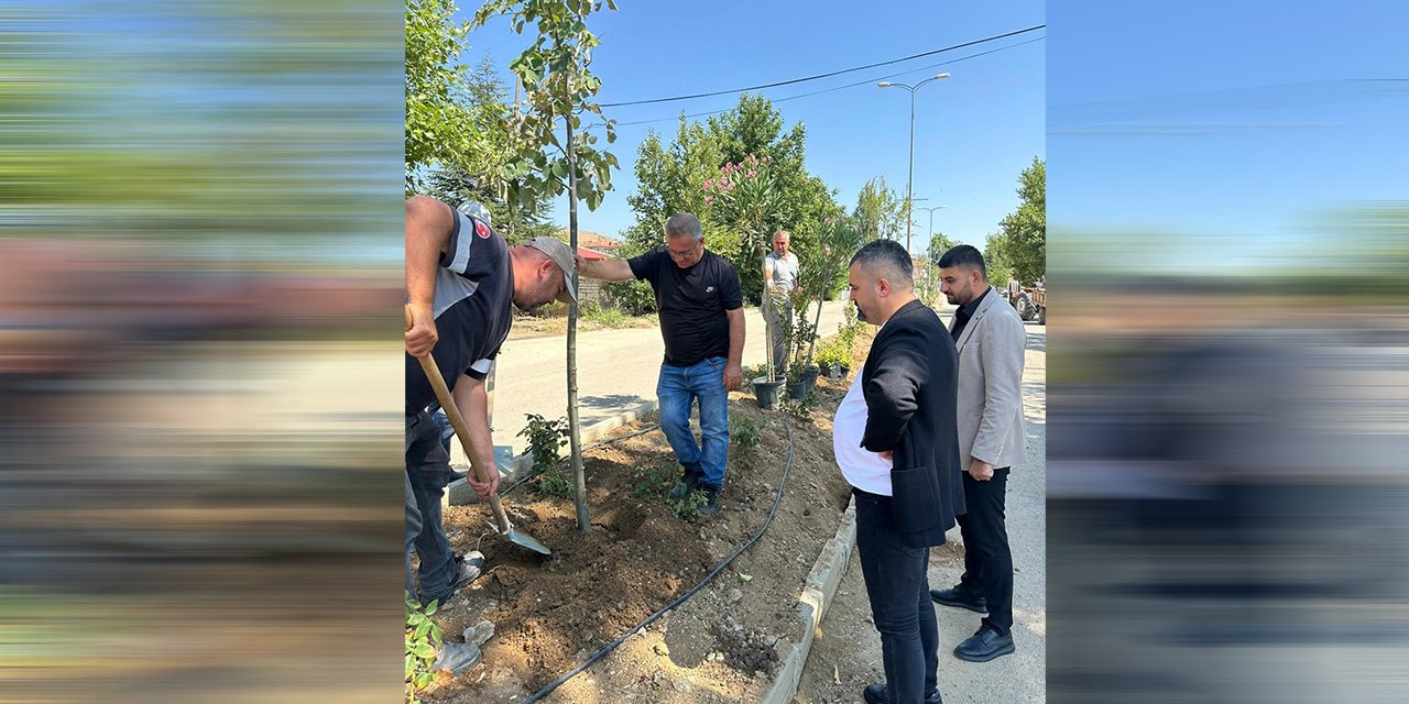 Hacılar’da yeşil dönüşüm