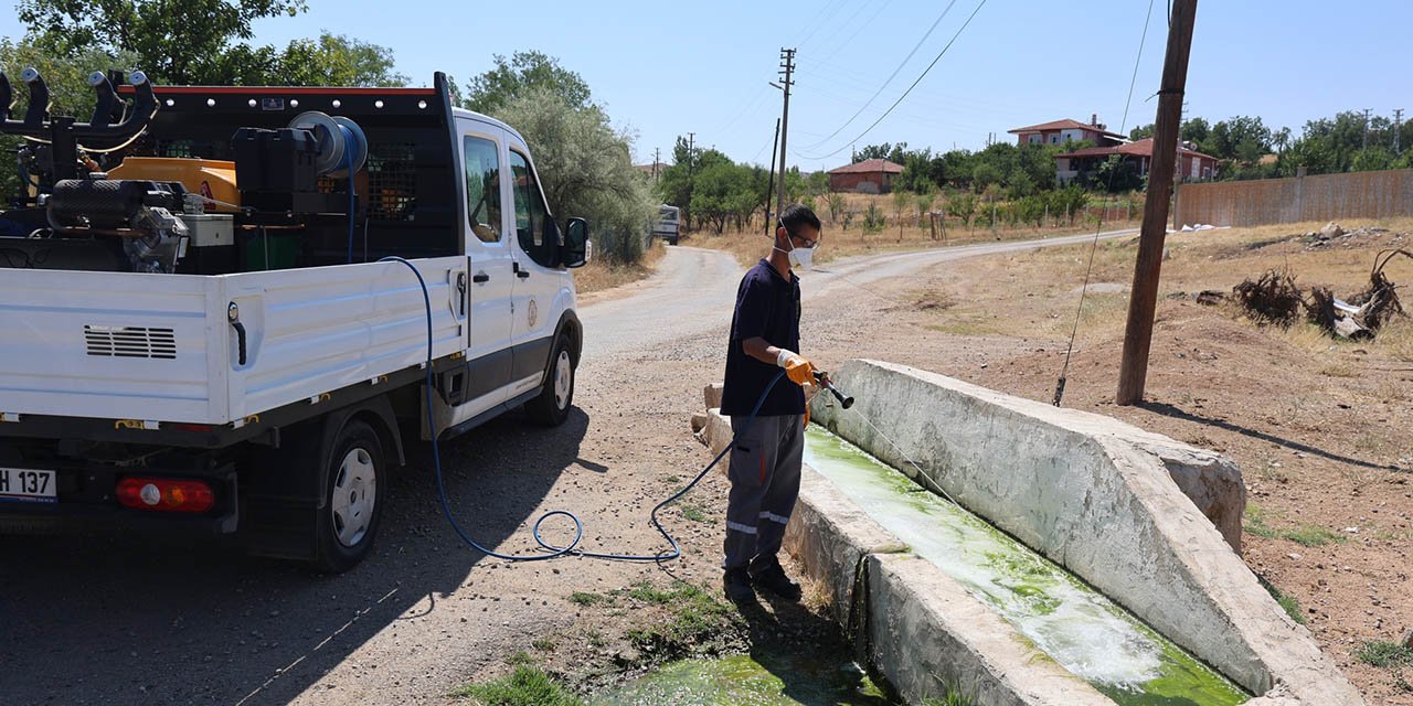 Kırıkkale’nin her yeri böceklere karşı ilaçlanıyor