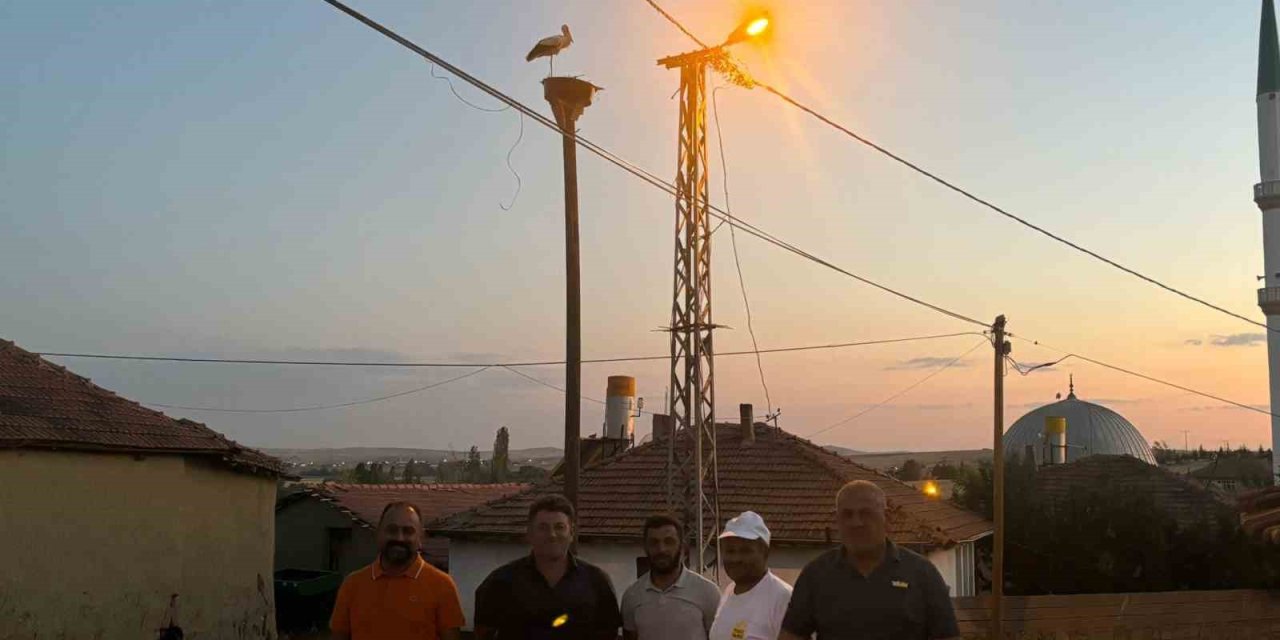 Yıkılan 20 yıllık yuva yenilendi, ilk misafiri adım attı