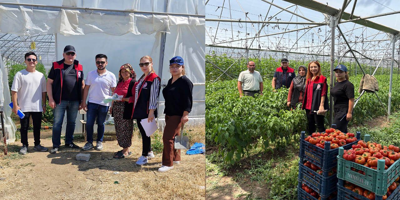 Tarım alanlarında denetimler yapılıyor