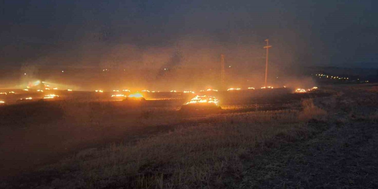 Elektrik direğinden çıkan kıvılcım 50 dönüm araziyi yaktı