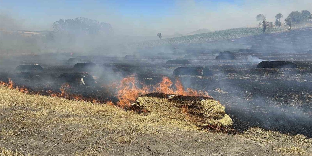 Saman balyası yangını ormana sıçradı