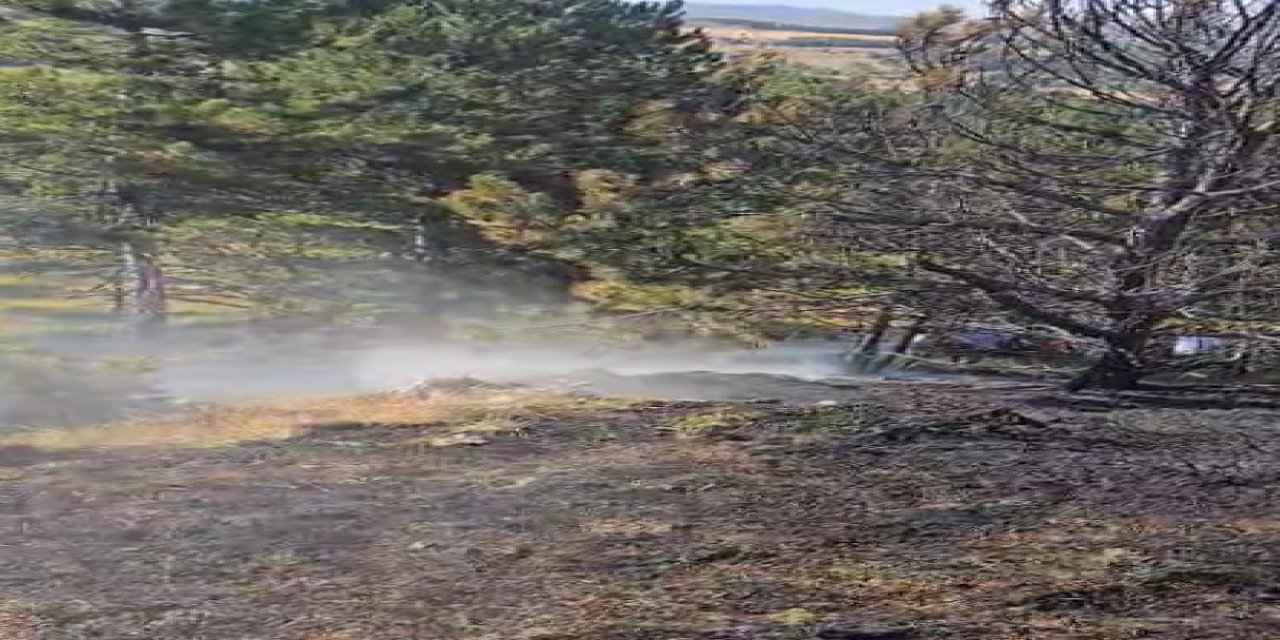 Kastamonu’da ormanlık alanda çıkan yangın büyümeden söndürüldü