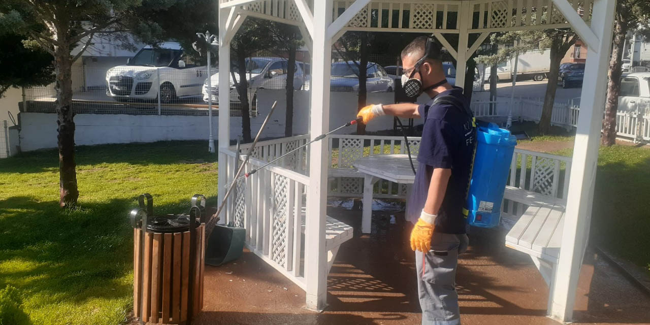 Sivrisinek ve haşerelere karşı etkin mücadele