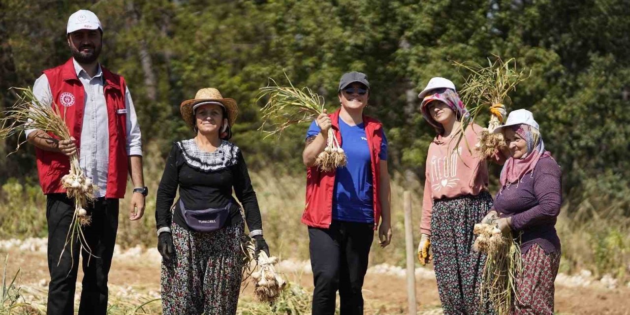 Gençler hasat etkinliği ile üretim süreçlerini yakından deneyimliyor