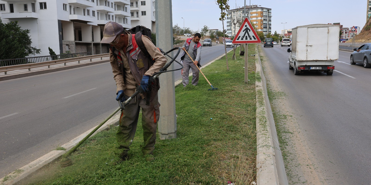 Yeşil alanlara estetik dokunuş