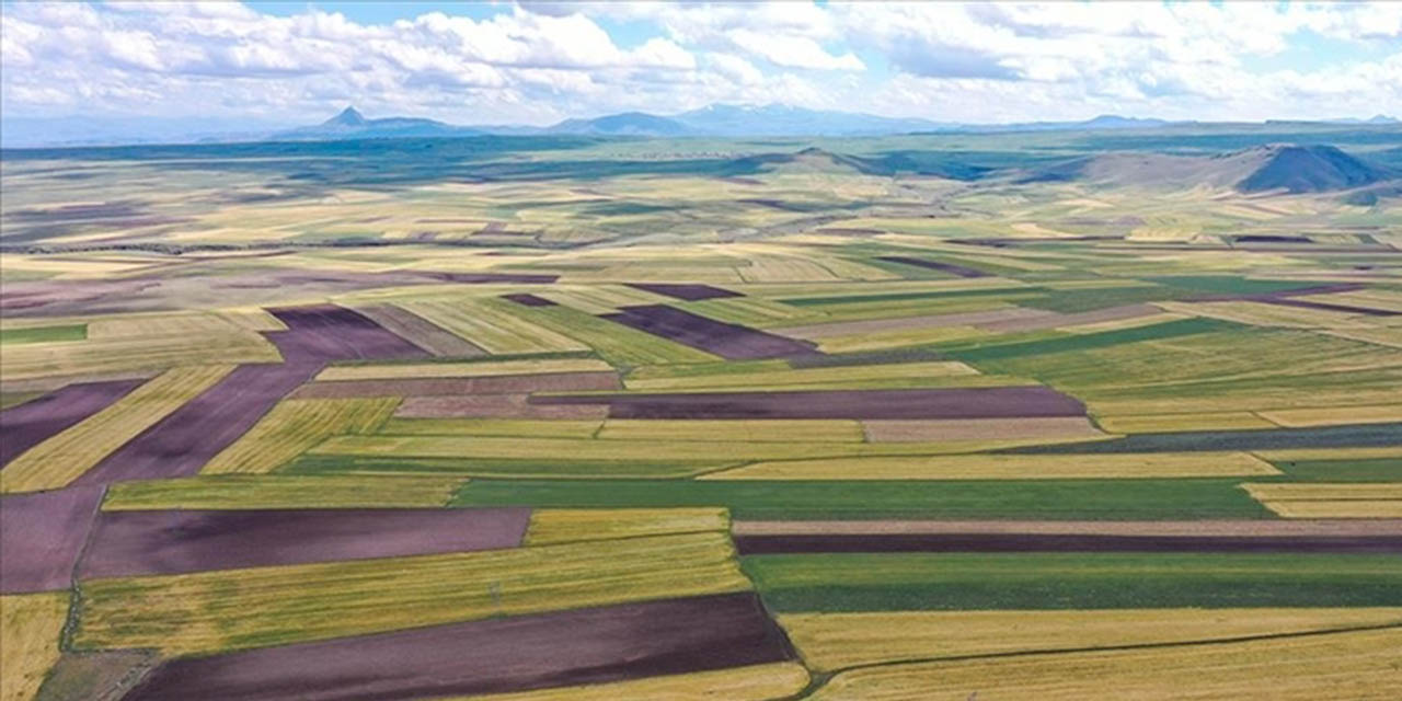 Kırıkkale’de bu araziye sahip olanlar için son 45 gün!