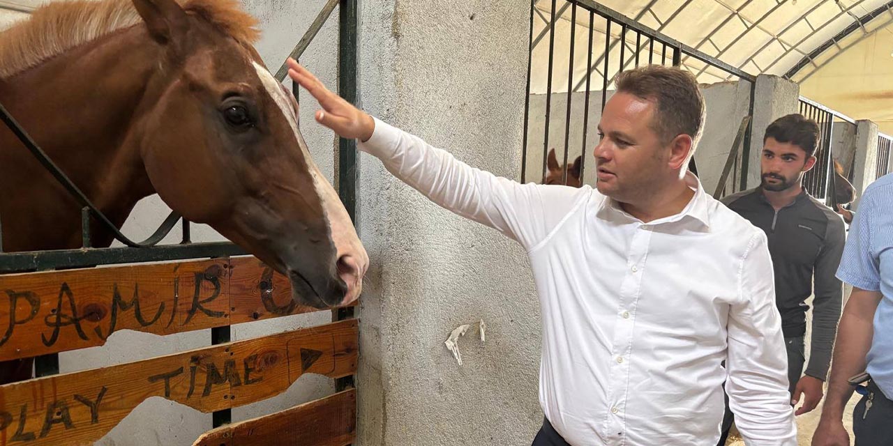 Gençler için doğayla iç içe sosyal alanlar oluşturuluyor