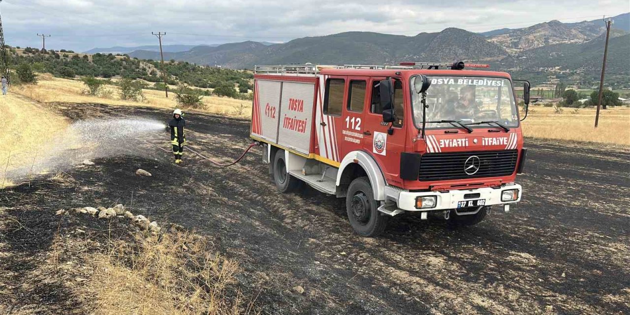 Kopan elektrik teli yangına sebep oldu: 3 dönümlük tarla zarar gördü
