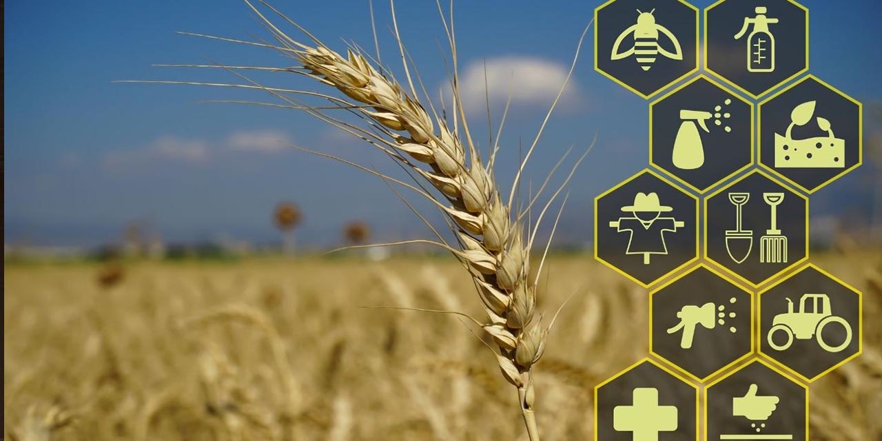 Tarım bürolarında yoğunluk arttı!