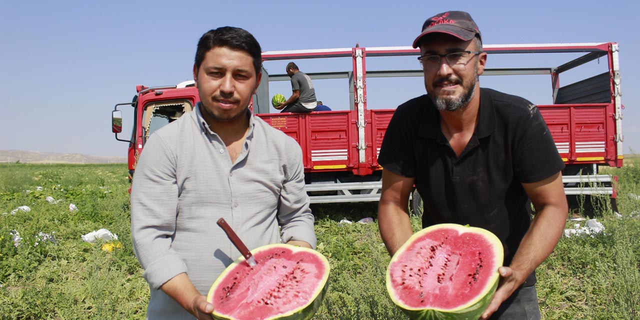 Kırıkkaleli bu karpuzları tercih ediyor