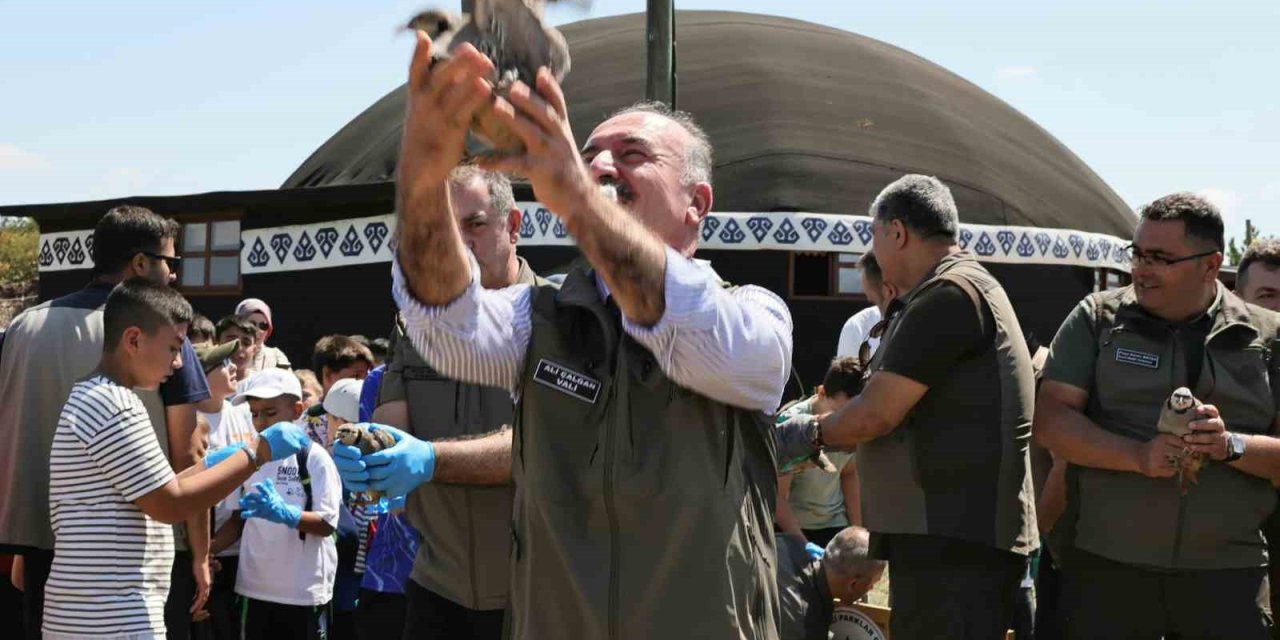 Çorum’da 120 kınalı keklik doğaya salındı