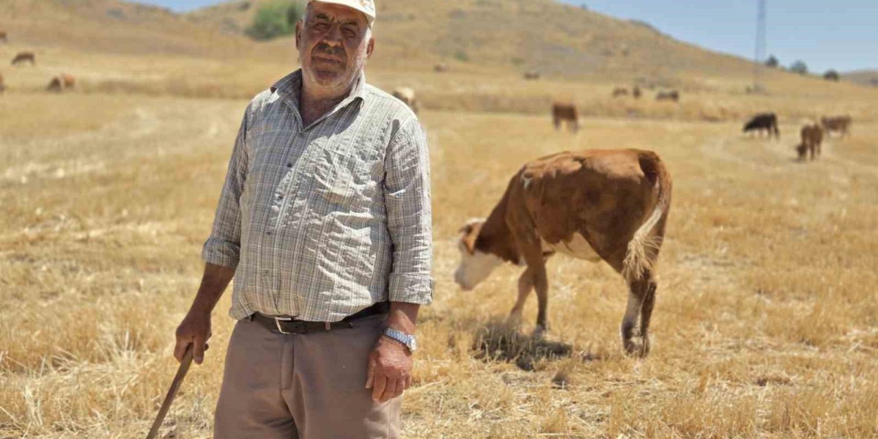 40 yıllık çoban sağlığını mesleğine borçlu olduğunu söyledi