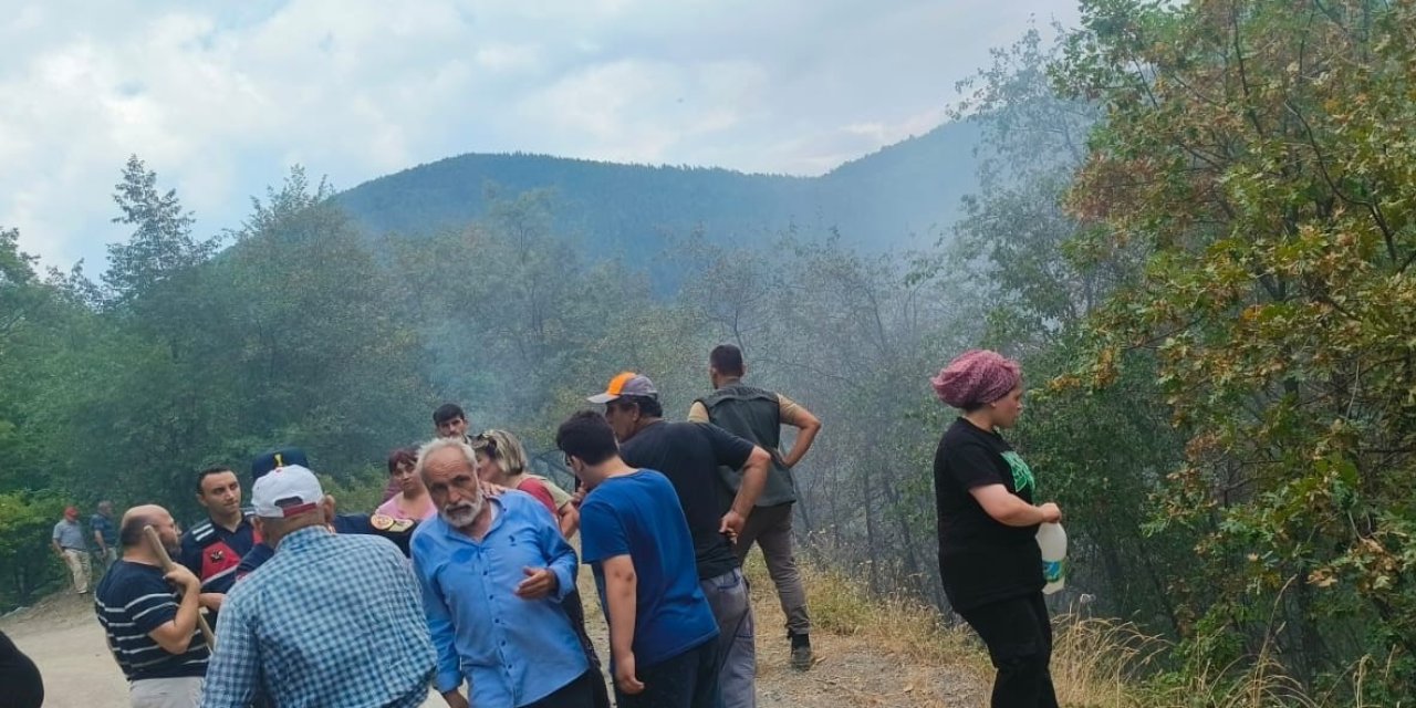 Çatalzeytin’de çıkan orman yangını kontrol altına alındı