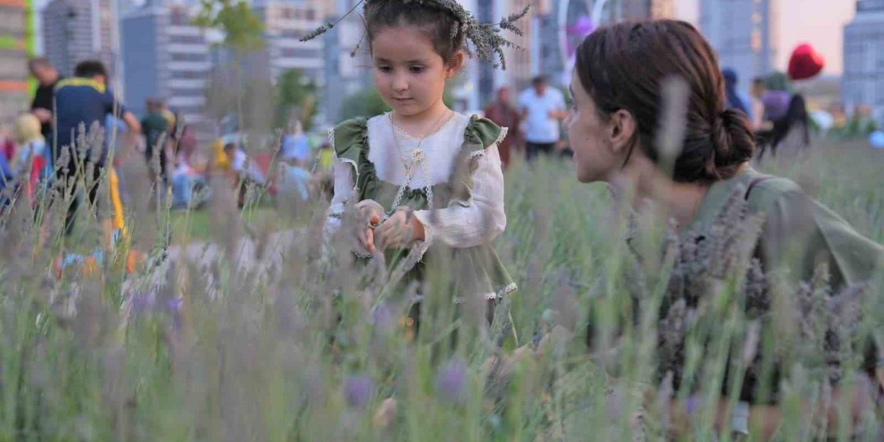 Başkentliler Keçiören’deki lavanta festivaline akın etti