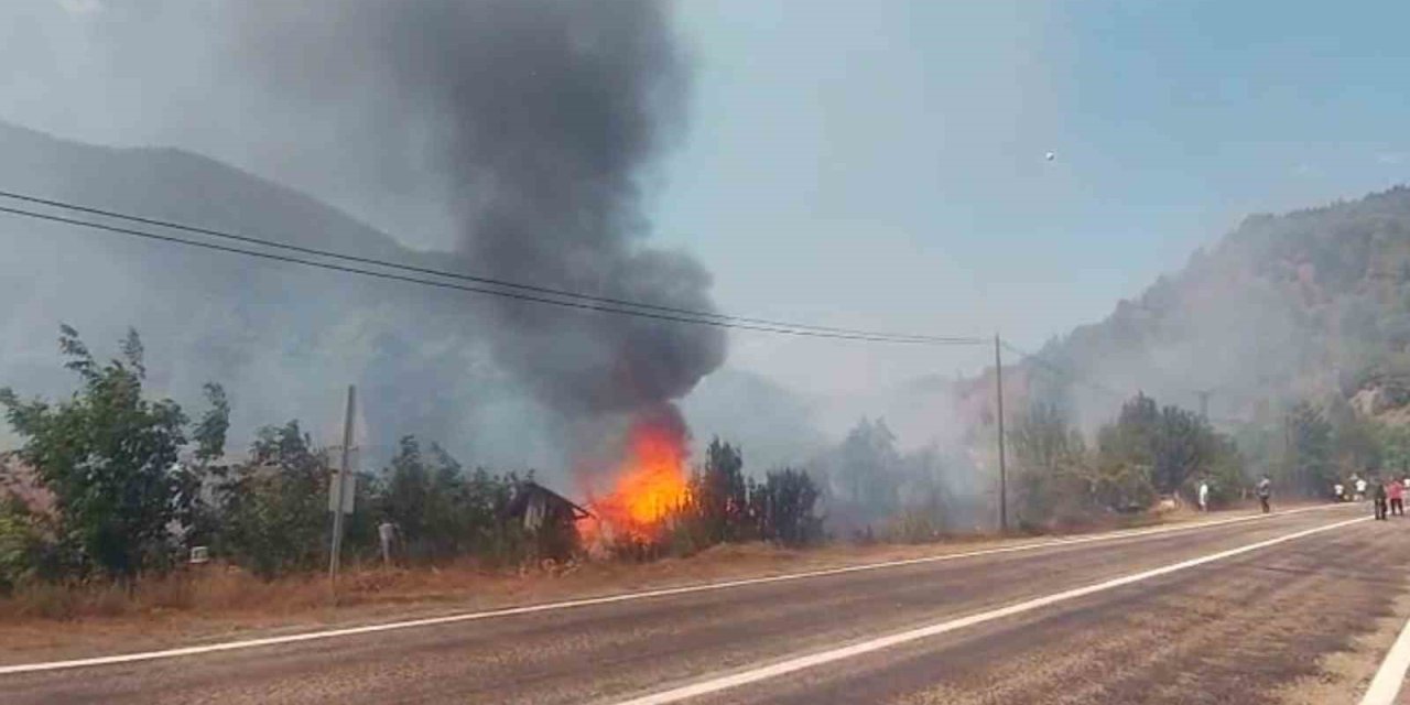 Tarlada çıkan yangın samanlığı küle çevirdi