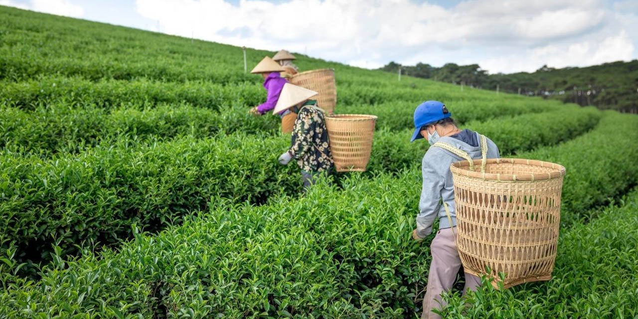 Mevsimlik tarım işçilerine destek!