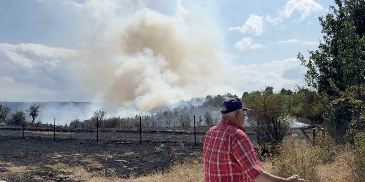 Kastamonu’da orman yangını
