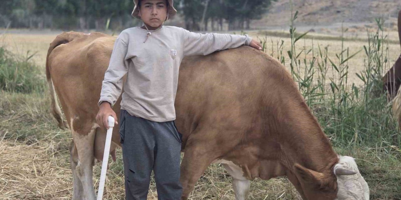 Baktığı hayvanların huyuna ve desenine göre isim veriyor