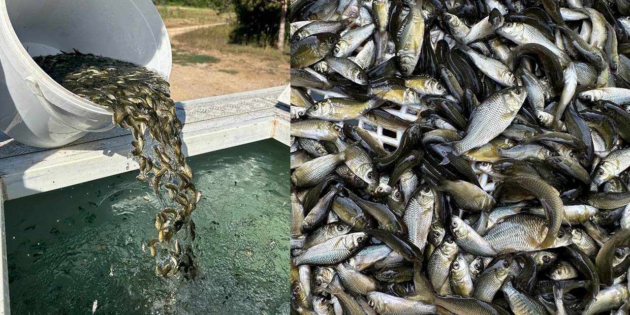 Bolu’dan Kırıkkale’ye gönderildi