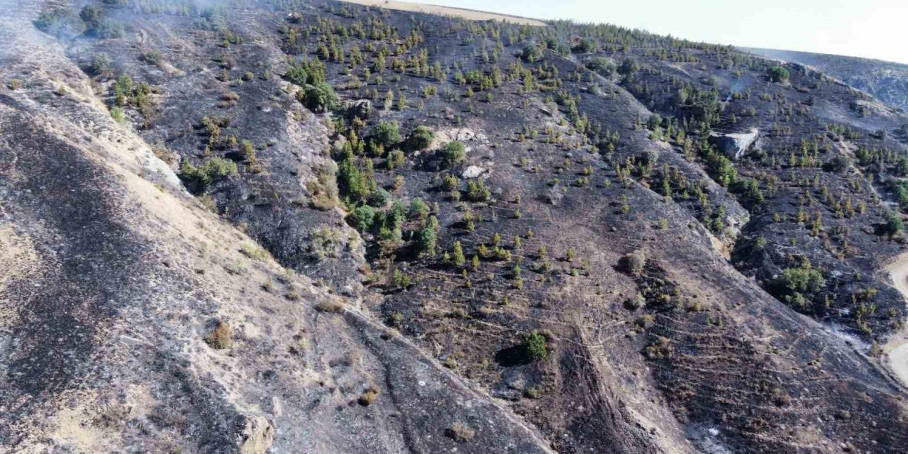 Çorum’daki orman yangını kontrol altına alındı