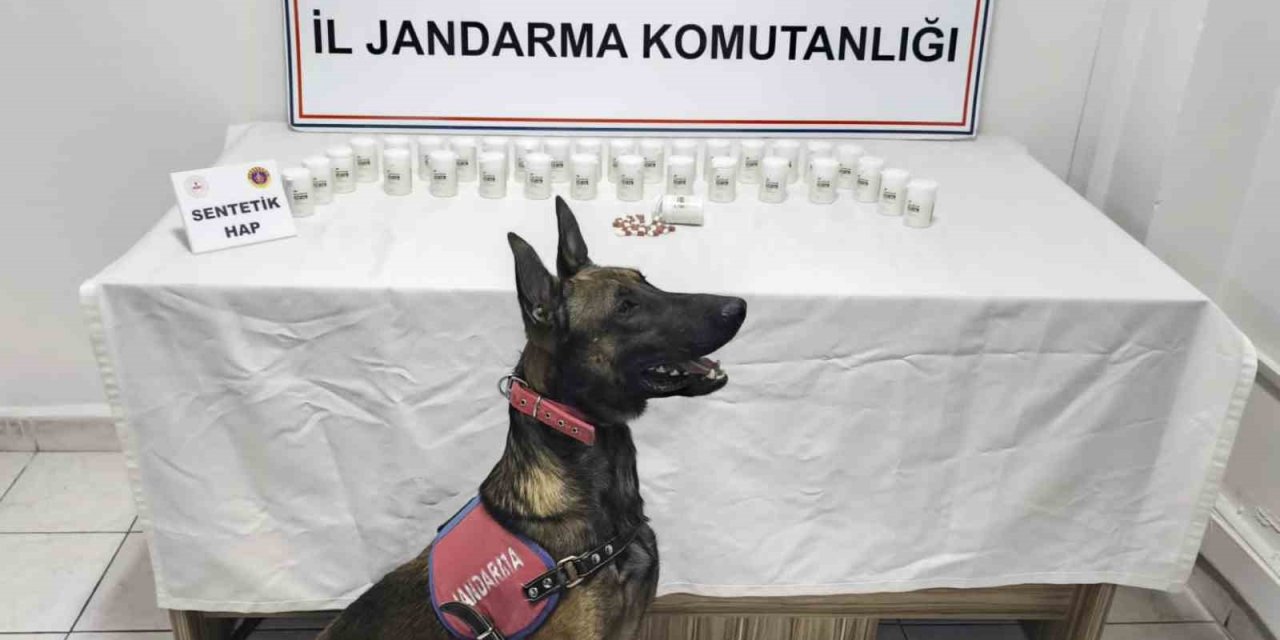 Kırşehir’de bin 823 sentetik hap ele geçirildi: 2 gözaltı