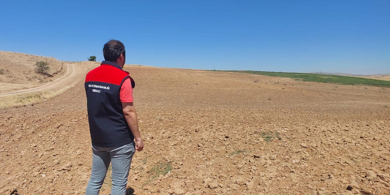 İşlenmeyen tarım arazileri üretime kazandırılıyor