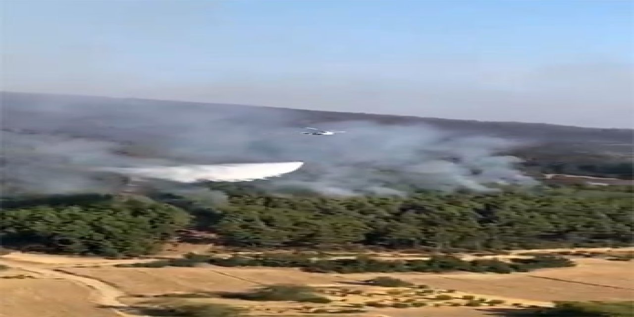 OGM: "Adana İmamoğlu’nda orman dışı alanda başlayan yangını tamamen kontrol altına aldık"