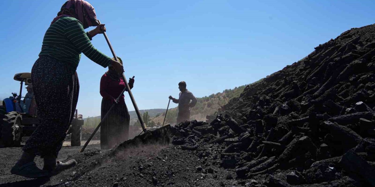 Ekmeğini kömürden çıkaranlar: Mevsimlik kömür işçileri