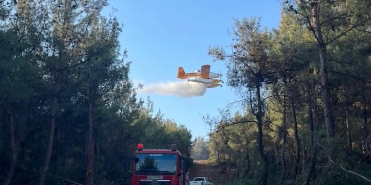 Yangınların yüzde 57’si orman dışı alanlarda başladı