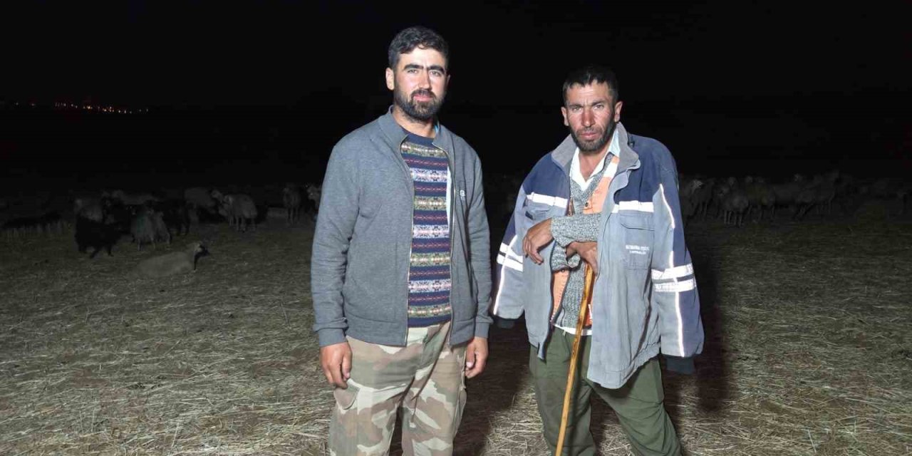 Çobanlardan kavurucu sıcaklara karşı çözüm yolu