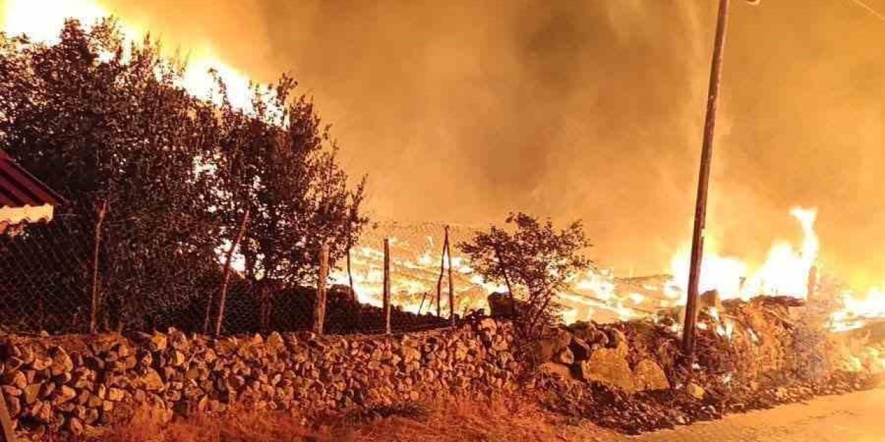 Köyde çıkan yangında 6 ev küle döndü