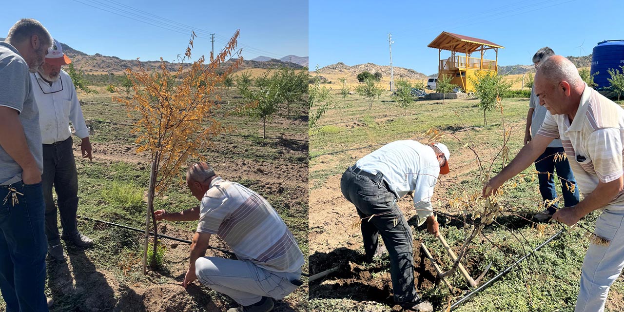Keskin’de Badem Bahçesinde Teknik İnceleme