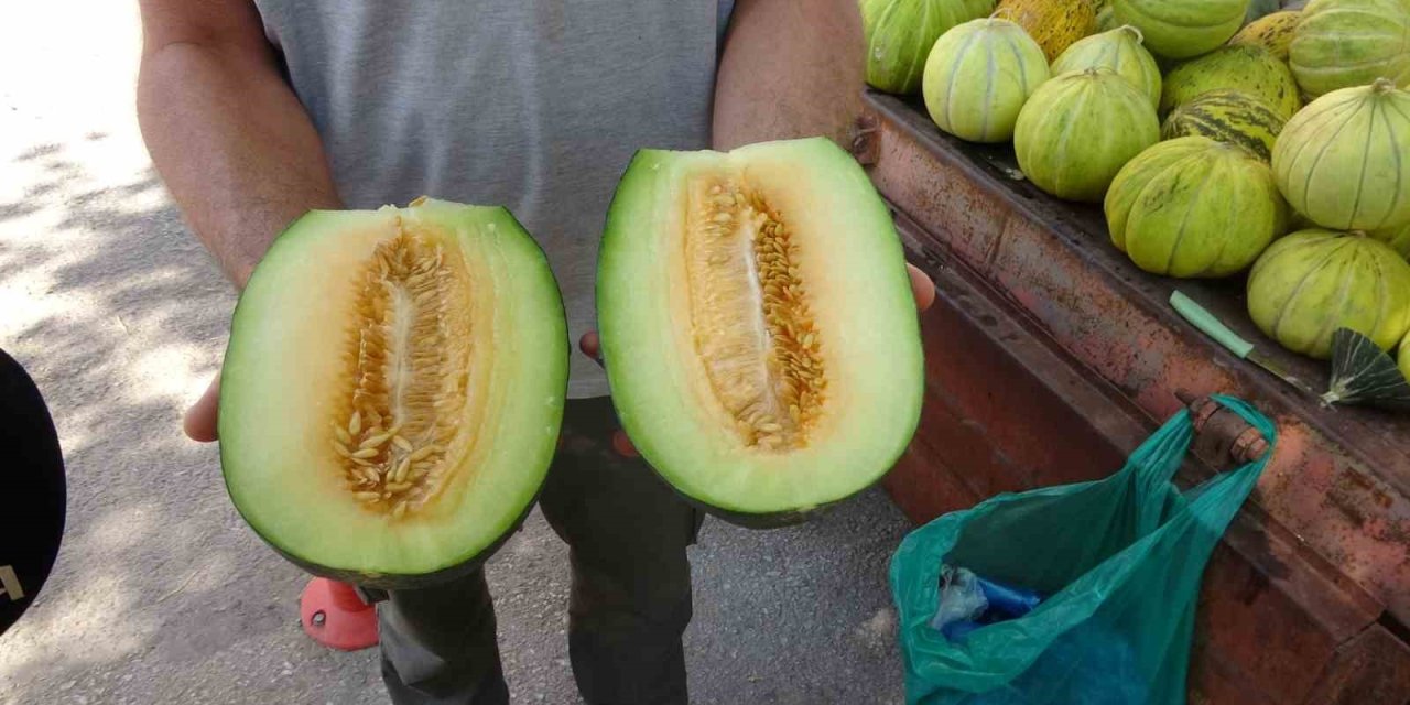 Çankırı tuzu bu kavunun tadına tat katıyor