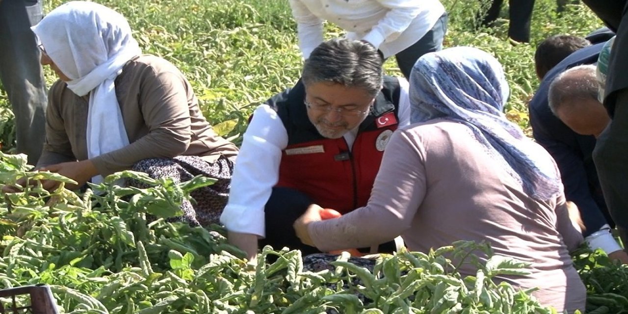 Bakan Yumaklı: "Türkiye domates üretiminde dünyada 3’üncü sırada"