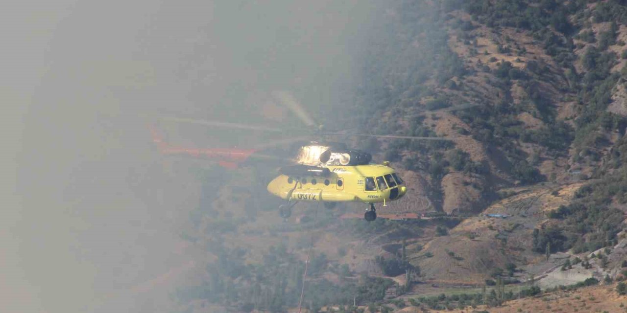 Çorum’daki orman yangını kontrol altına alındı