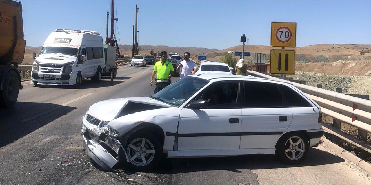 Sürücüyü arı soktu, otomobil bariyerlere çarptı!