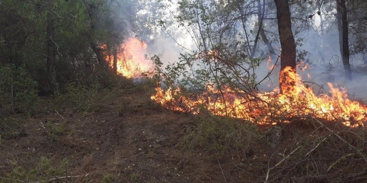 Keskin’de korkutan yangın!