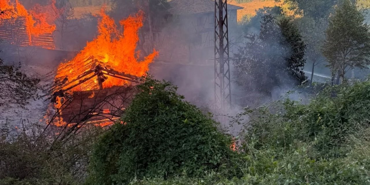 Kastamonu’da alevlere telim olan iki samanlık yandı