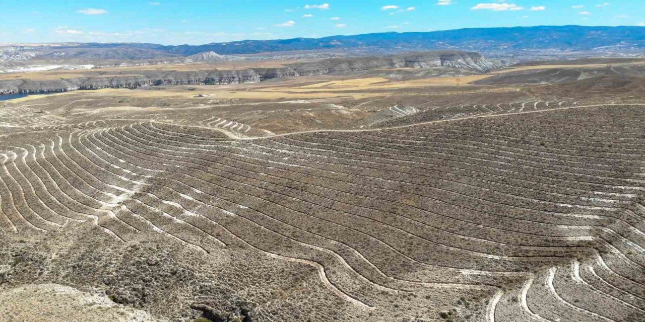 OGM: "Ankara’da 600 futbol sahası büyüklüğünde alanda erozyona karşı set oluyoruz"